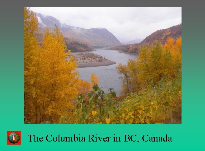 The Columbia River in BC, Canada 