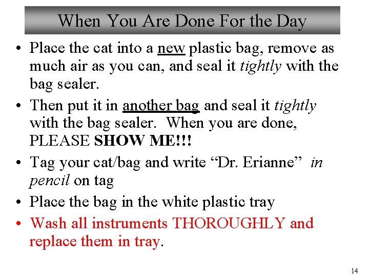 When You Are Done For the Day • Place the cat into a new