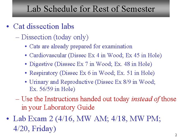 Lab Schedule for Rest of Semester • Cat dissection labs – Dissection (today only)