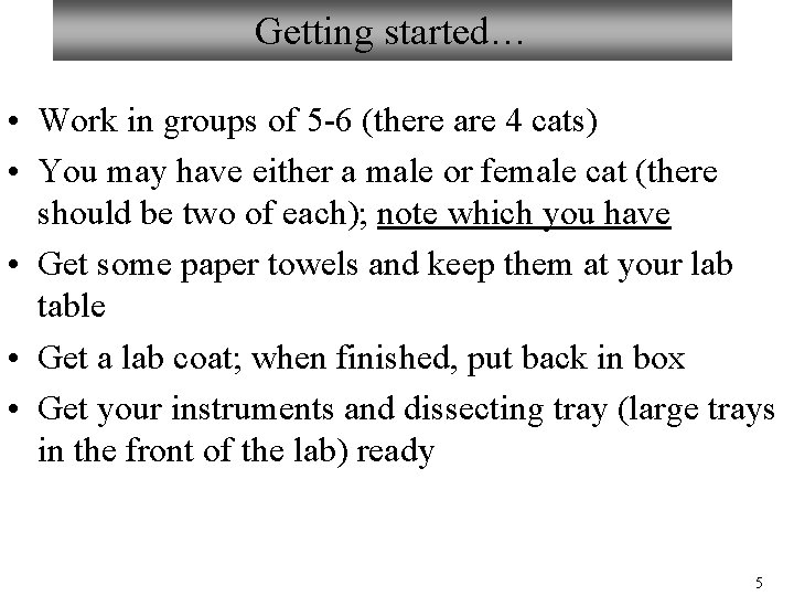 Getting started… • Work in groups of 5 -6 (there are 4 cats) •