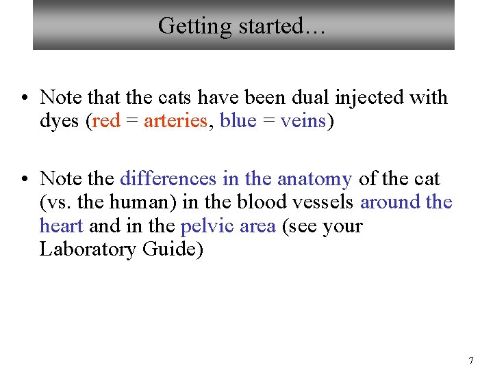 Getting started… • Note that the cats have been dual injected with dyes (red