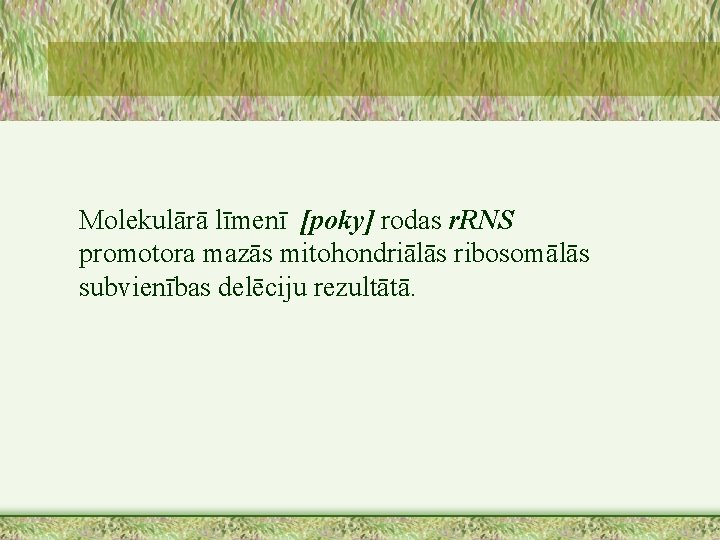 Molekulārā līmenī [poky] rodas r. RNS promotora mazās mitohondriālās ribosomālās subvienības delēciju rezultātā. 