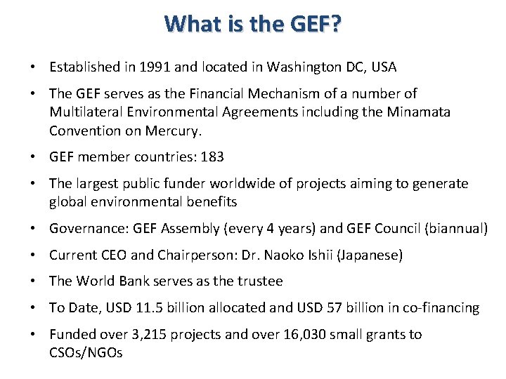 What is the GEF? • Established in 1991 and located in Washington DC, USA