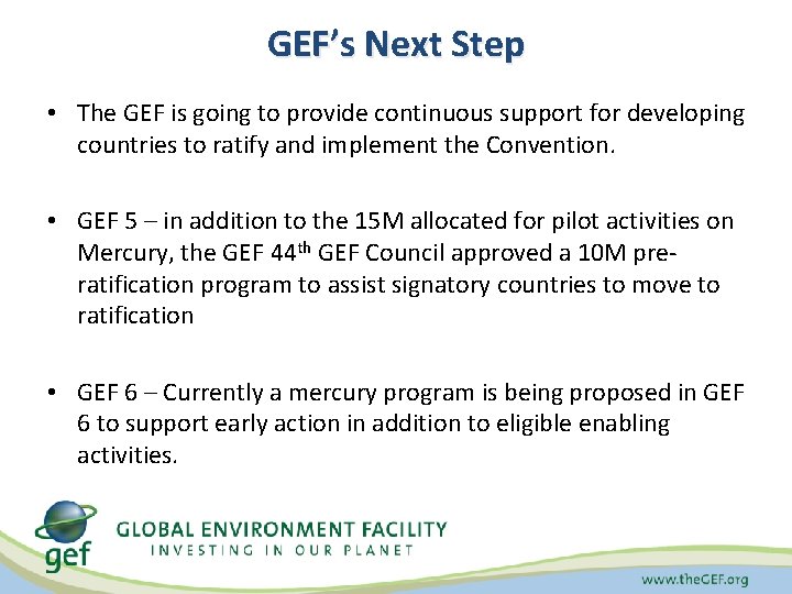 GEF’s Next Step • The GEF is going to provide continuous support for developing