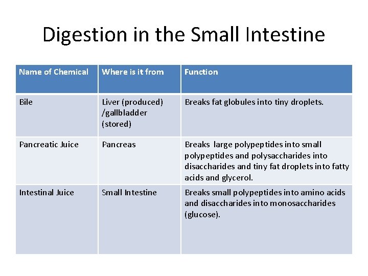 Digestion in the Small Intestine Name of Chemical Where is it from Function Bile Digestion in the Small Intestine Name of Chemical Where is it from Function Bile