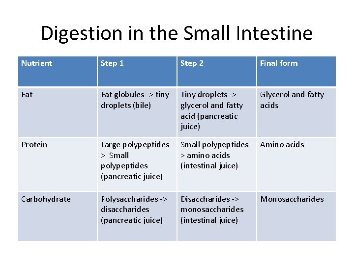 Digestion in the Small Intestine Nutrient Step 1 Step 2 Final form Fat globules Digestion in the Small Intestine Nutrient Step 1 Step 2 Final form Fat globules