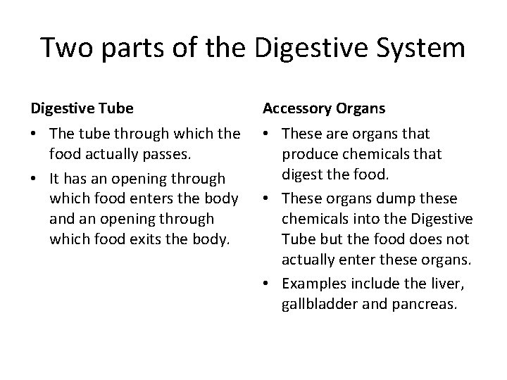 Two parts of the Digestive System Digestive Tube Accessory Organs • The tube through Two parts of the Digestive System Digestive Tube Accessory Organs • The tube through