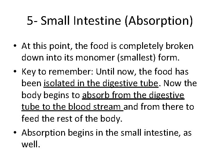 5 - Small Intestine (Absorption) • At this point, the food is completely broken 5 - Small Intestine (Absorption) • At this point, the food is completely broken