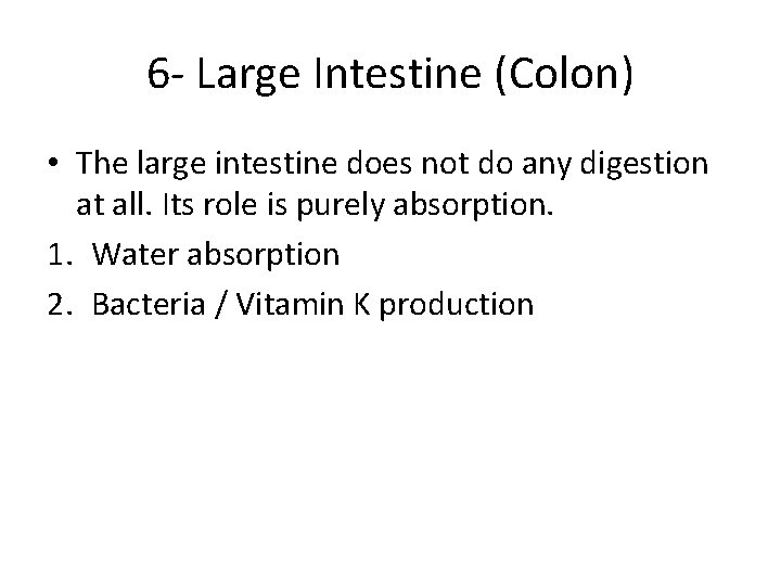 6 - Large Intestine (Colon) • The large intestine does not do any digestion 6 - Large Intestine (Colon) • The large intestine does not do any digestion