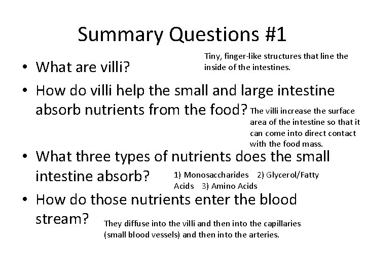 Summary Questions #1 Tiny, finger-like structures that line the inside of the intestines. • Summary Questions #1 Tiny, finger-like structures that line the inside of the intestines. •