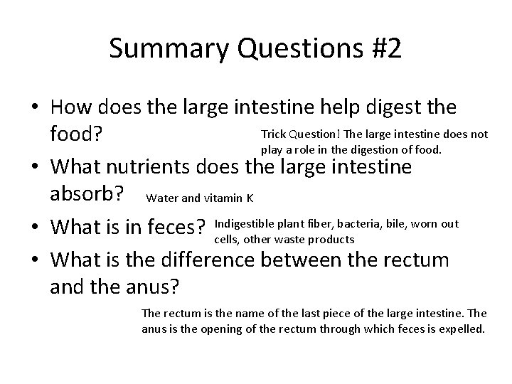 Summary Questions #2 • How does the large intestine help digest the Trick Question! Summary Questions #2 • How does the large intestine help digest the Trick Question!