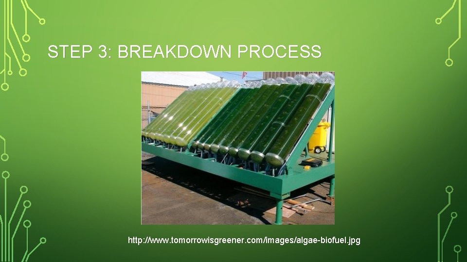 STEP 3: BREAKDOWN PROCESS http: //www. tomorrowisgreener. com/images/algae-biofuel. jpg 