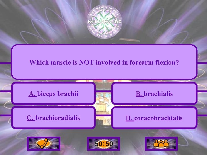 Which muscle is NOT involved in forearm flexion? A. biceps brachii B. brachialis C.