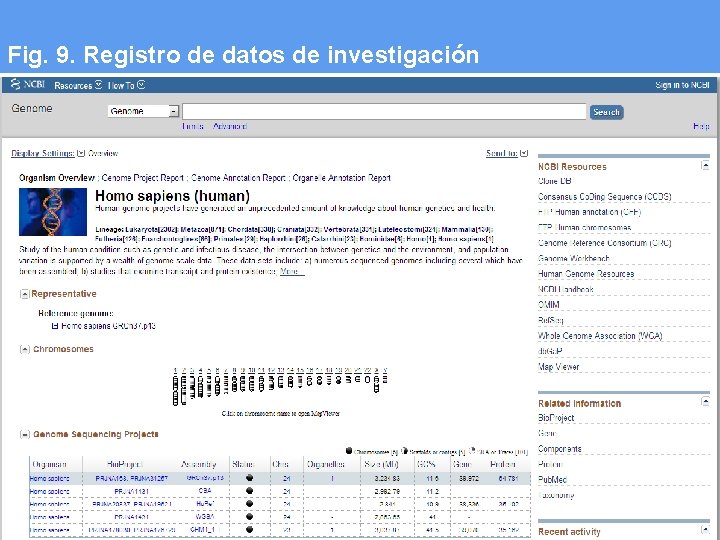 Fig. 9. Registro de datos de investigación E. Abadal. El impacto del acceso abierto