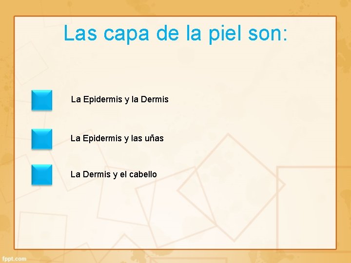 Las capa de la piel son: La Epidermis y la Dermis La Epidermis y