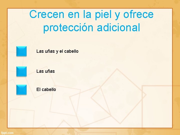 Crecen en la piel y ofrece protección adicional Las uñas y el cabello Las