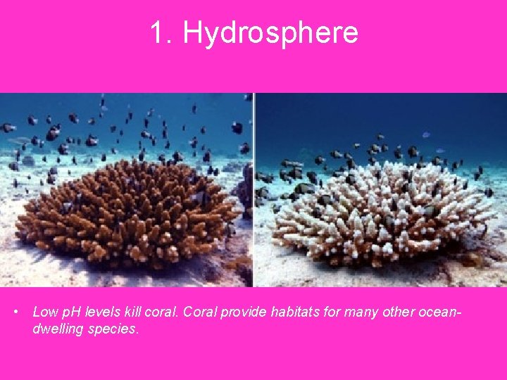 1. Hydrosphere • Low p. H levels kill coral. Coral provide habitats for many 1. Hydrosphere • Low p. H levels kill coral. Coral provide habitats for many