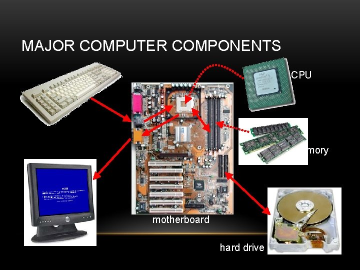 MAJOR COMPUTER COMPONENTS CPU memory motherboard hard drive 