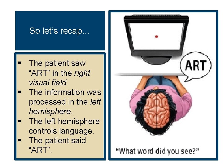 So let’s recap… § The patient saw “ART” in the right visual field. §