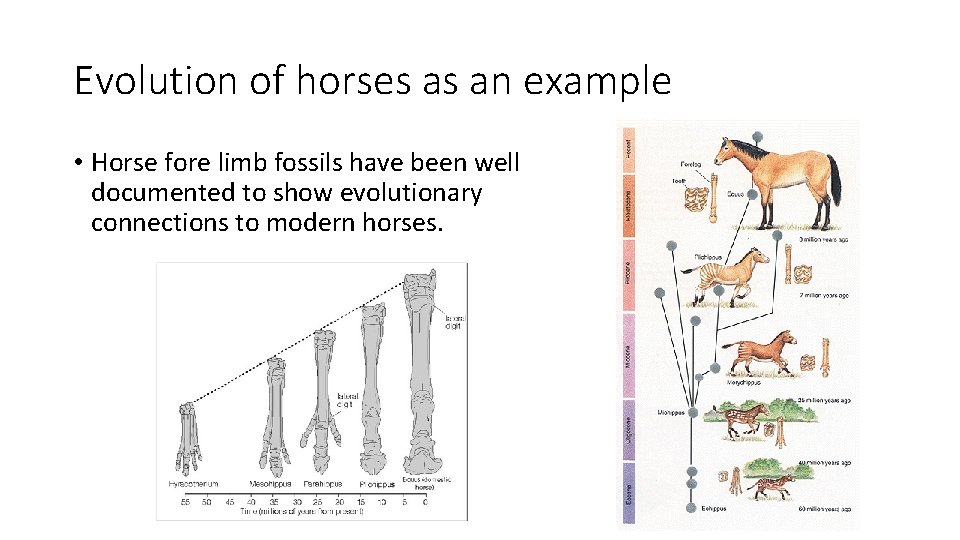 Theory of Evolution Data Driven Process Supported by