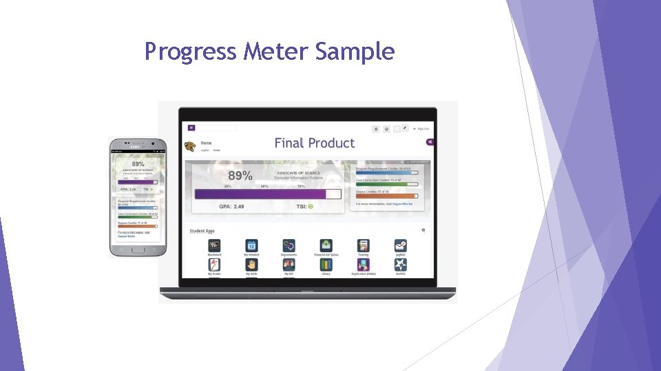 Progress Meter Sample 