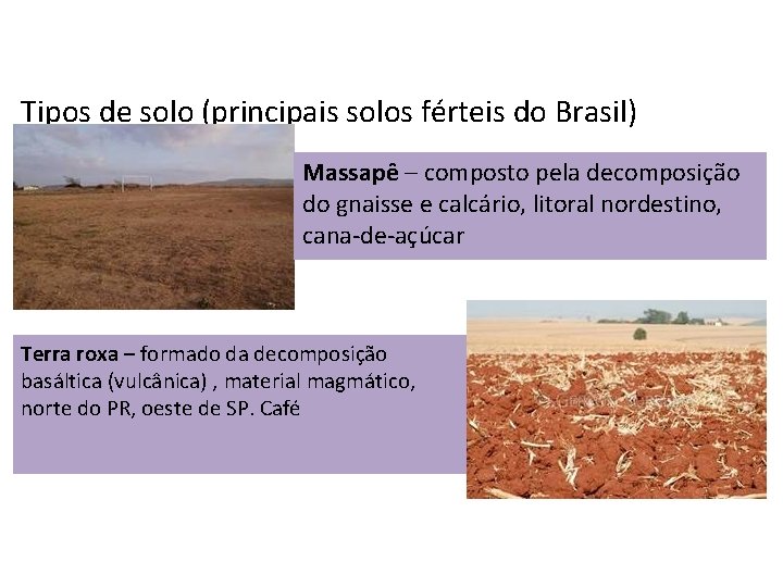 Tipos de solo (principais solos férteis do Brasil) Massapê – composto pela decomposição do
