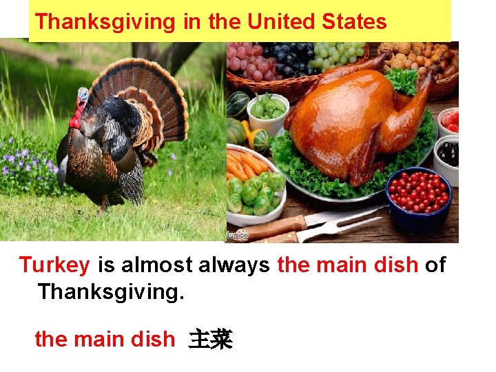 Thanksgiving in the United States Turkey is almost always the main dish of Thanksgiving.