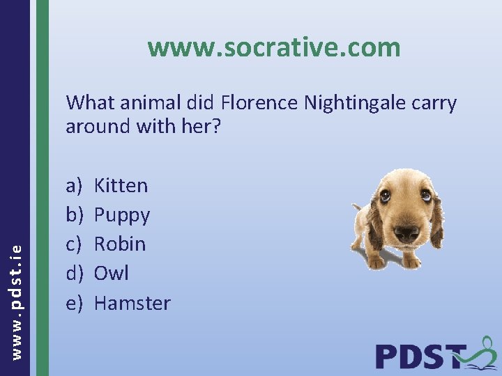 www. socrative. com www. pdst. ie What animal did Florence Nightingale carry around with