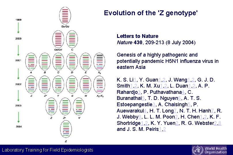 Evolution of the 'Z genotype' Letters to Nature 430, 209 -213 (8 July 2004) Evolution of the 'Z genotype' Letters to Nature 430, 209 -213 (8 July 2004)