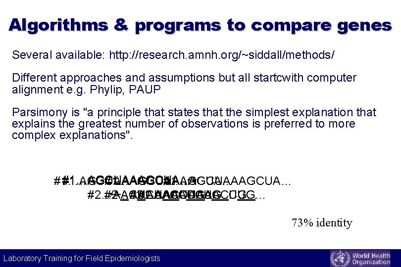 Algorithms & programs to compare genes Several available: http: //research. amnh. org/~siddall/methods/ Different approaches Algorithms & programs to compare genes Several available: http: //research. amnh. org/~siddall/methods/ Different approaches