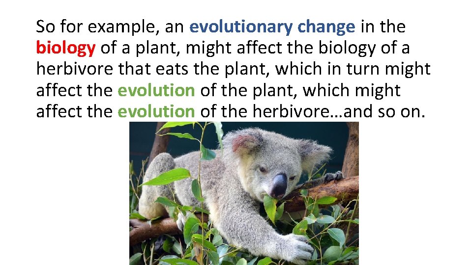 So for example, an evolutionary change in the biology of a plant, might affect