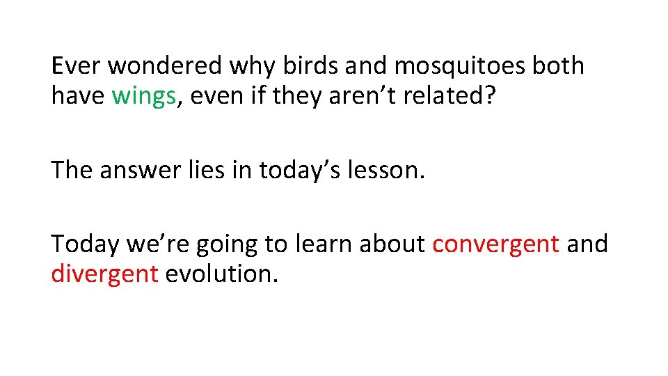 Ever wondered why birds and mosquitoes both have wings, even if they aren’t related?