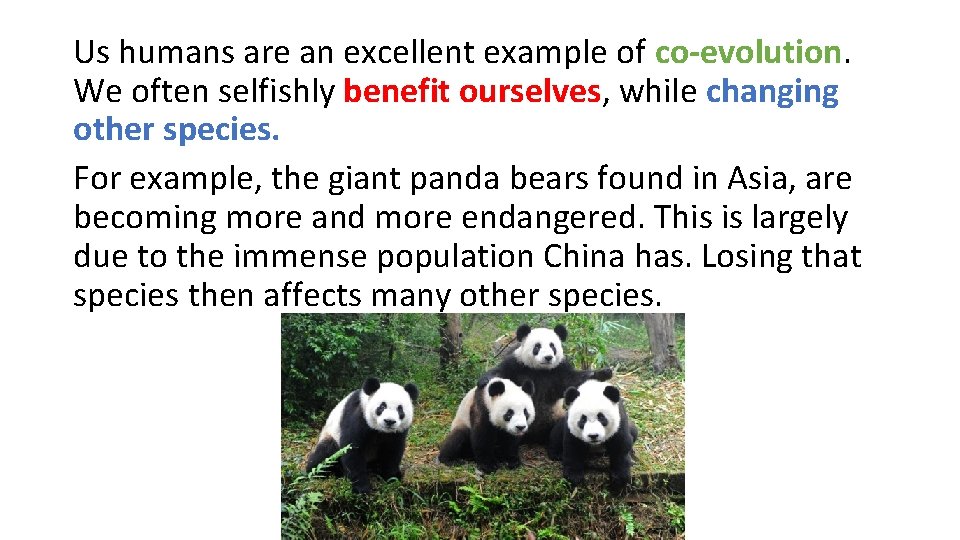 Us humans are an excellent example of co-evolution. We often selfishly benefit ourselves, while