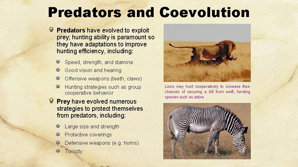 Predators and Coevolution Predators have evolved to exploit prey; hunting ability is paramount so
