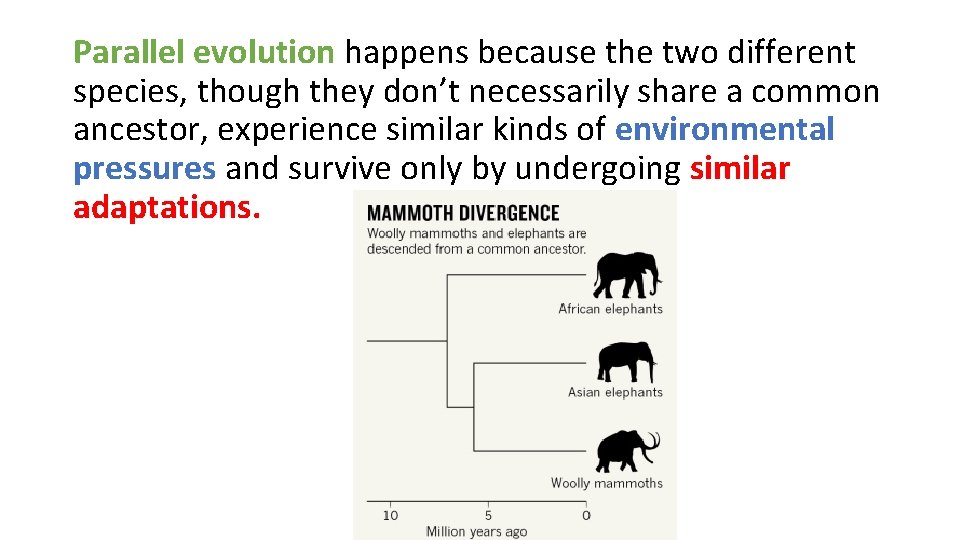 Parallel evolution happens because the two different species, though they don’t necessarily share a
