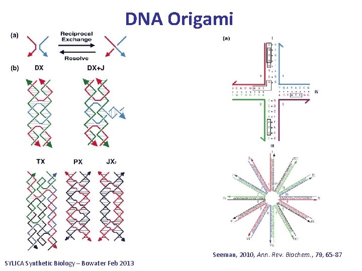 DNA Origami SYLICA Synthetic Biology – Bowater Feb 2013 Seeman, 2010, Ann. Rev. Biochem.