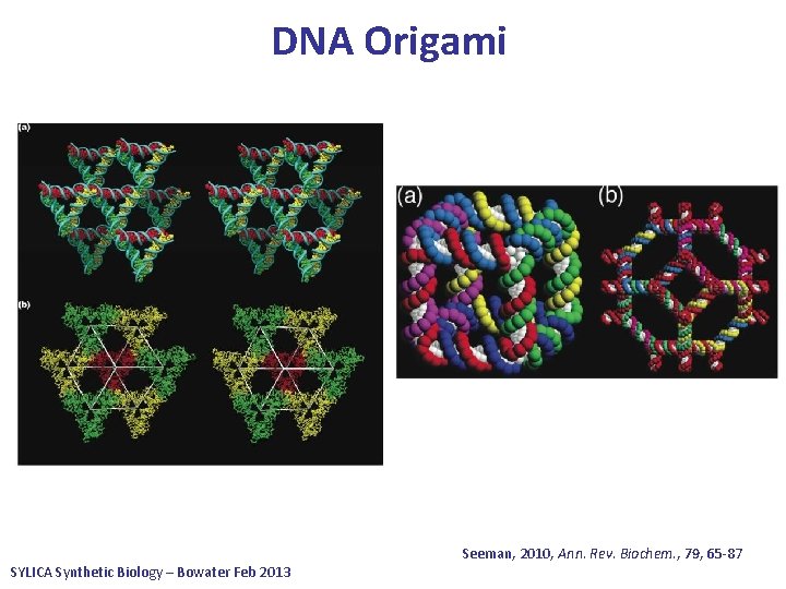 DNA Origami SYLICA Synthetic Biology – Bowater Feb 2013 Seeman, 2010, Ann. Rev. Biochem.