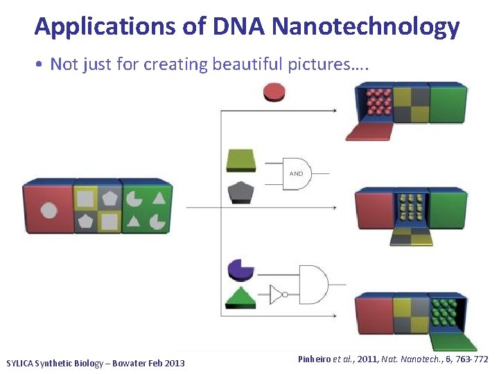 Applications of DNA Nanotechnology • Not just for creating beautiful pictures…. SYLICA Synthetic Biology
