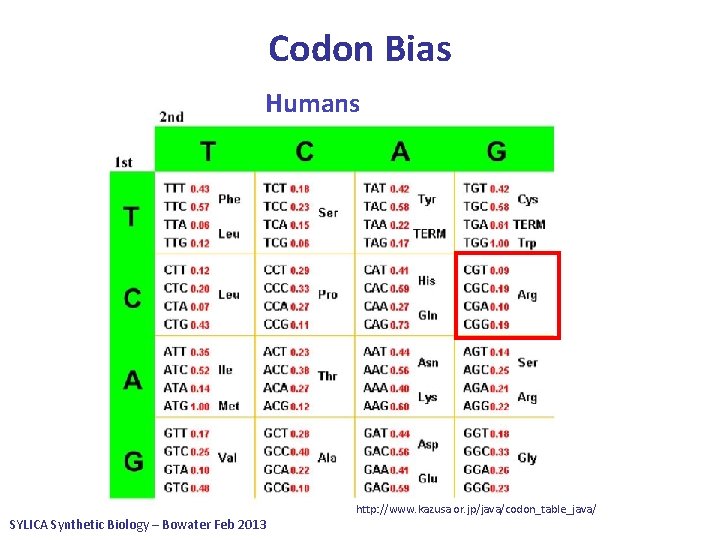 Codon Bias Escherichia coli Humans • Different organisms have differences in their usage of