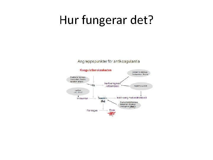 Hur fungerar det? 
