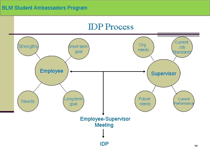 BLM Student Ambassadors Program IDP Process Strengths Org. needs Short term goal Employee Needs