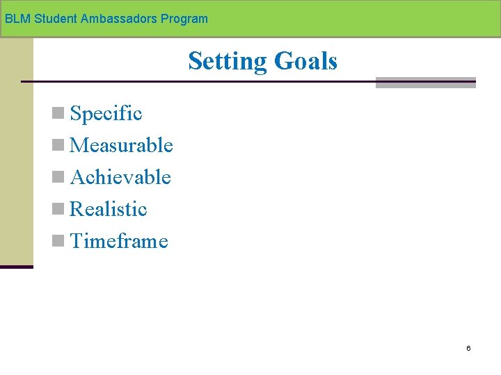 BLM Student Ambassadors Program Setting Goals n Specific n Measurable n Achievable n Realistic