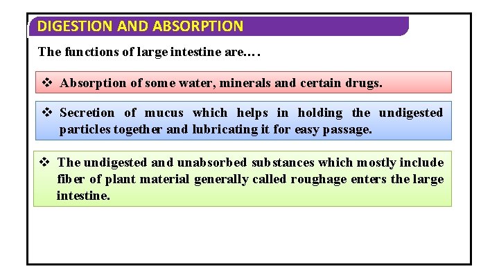 DIGESTION AND ABSORPTION The functions of large intestine are…. v Absorption of some water,
