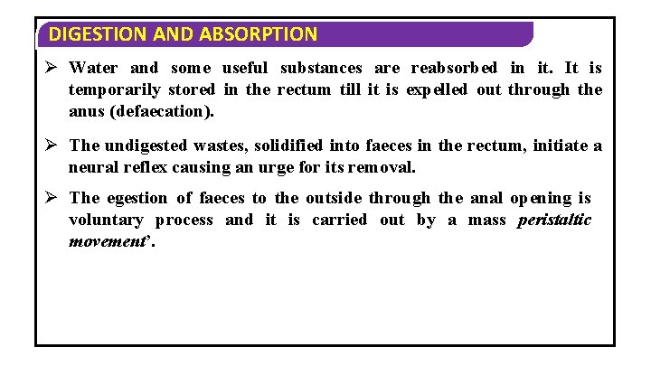 DIGESTION AND ABSORPTION Ø Water and some useful substances are reabsorbed in it. It