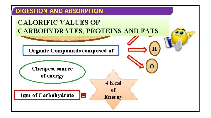DIGESTION AND ABSORPTION CALORIFIC VALUES OF C CARBOHYDRATES, Carbohydrates PROTEINS AND FATS Organic Compounds