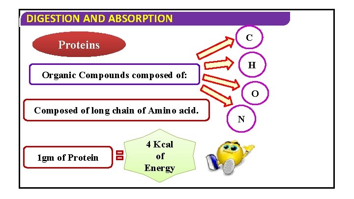DIGESTION AND ABSORPTION C Proteins H Organic Compounds composed of: O Composed of long