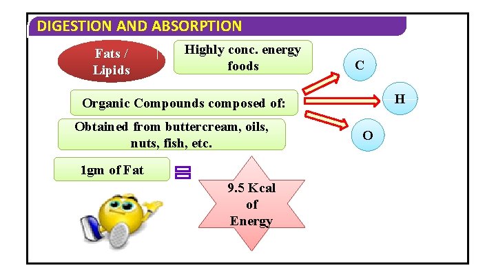 DIGESTION AND ABSORPTION Fats / Lipids Highly conc. energy foods C H Organic Compounds