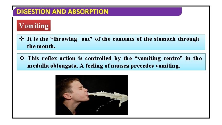 DIGESTION AND ABSORPTION Vomiting v It is the “throwing out” of the contents of