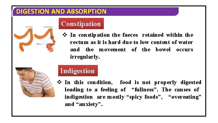 DIGESTION AND ABSORPTION Constipation v In constipation the faeces retained within the rectum as