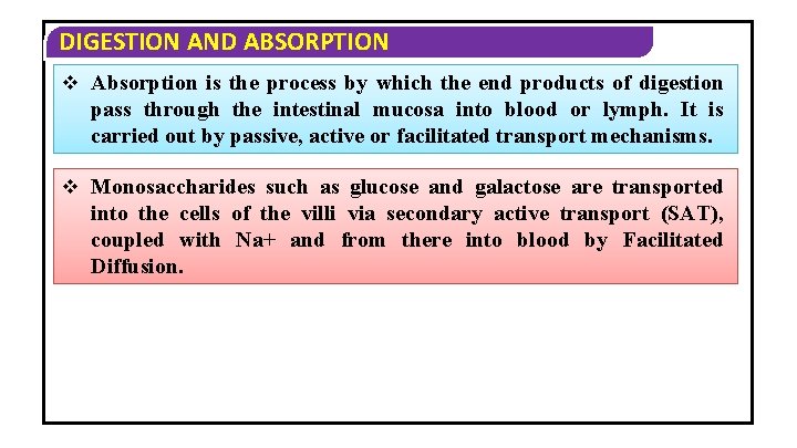 DIGESTION AND ABSORPTION v Absorption is the process by which the end products of